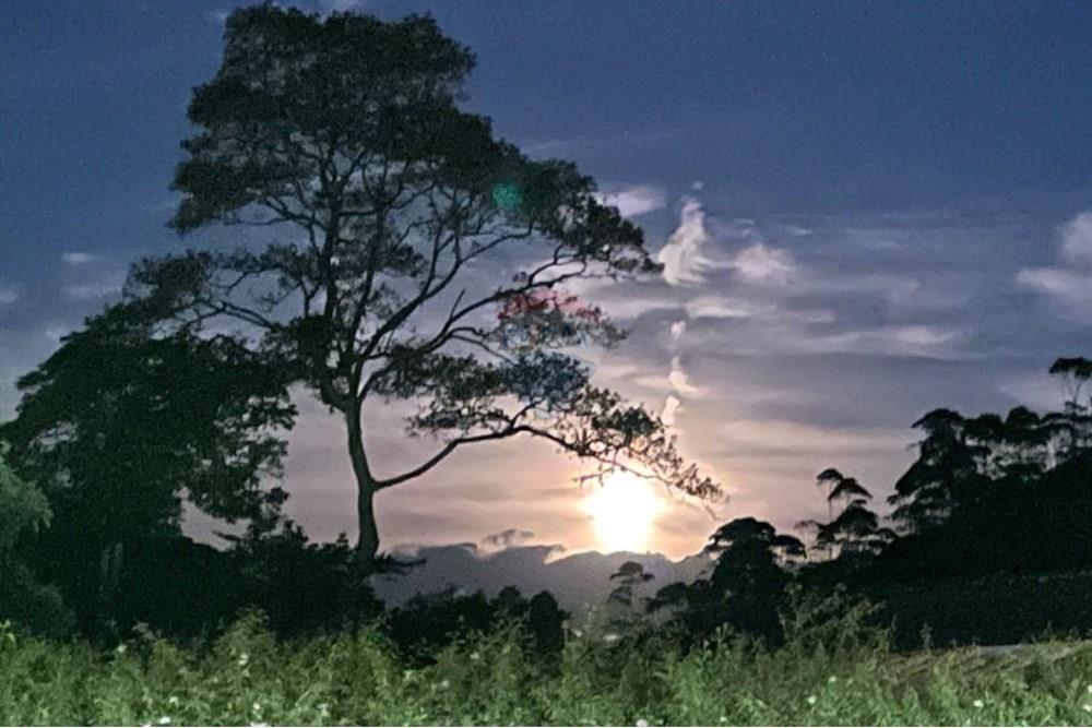 Casa - Alugar - Petrópolis , Rio de Janeiro - WhatsApp Image 2024-12-18 at 15.12.34(1).jpeg - 630131015-67