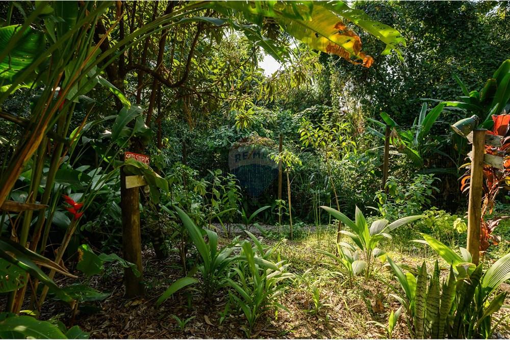 Casa de Condomínio - Venda - Ilhabela , São Paulo - REI-44.jpg - 630951003-51