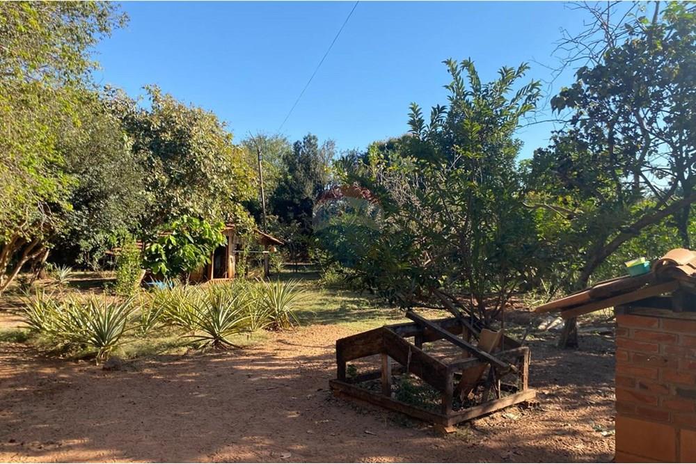 Chácara / Sítio / Fazenda - Venda - Lins , São Paulo - WhatsApp Image 2025-08-12 at 20.28.54 (3).jpeg - 631011037-40