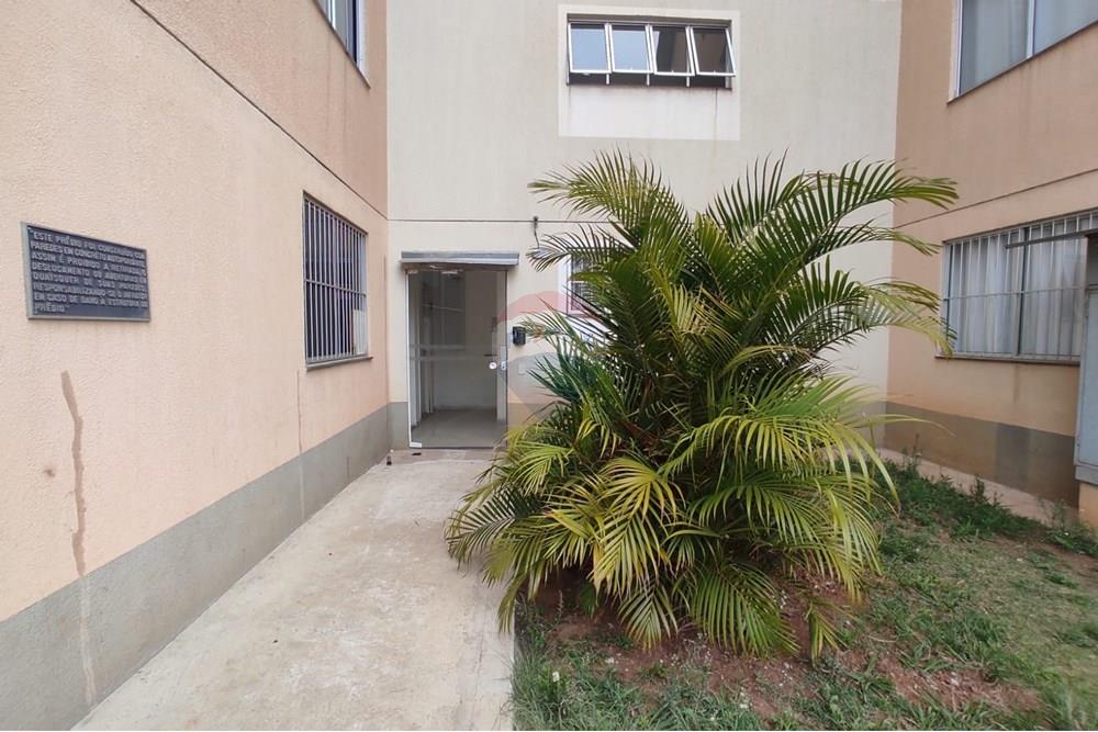 Apartamento - Alugar - Guarulhos , São Paulo - WhatsApp Image 2025-10-20 at 19.04.18 (3).jpeg - 630251032-179