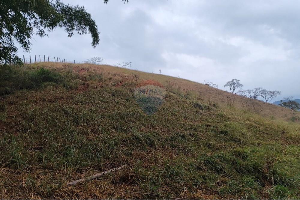 Chácara / Sítio / Fazenda - Venda - Duas Barras , Rio de Janeiro - 1.jpg - 630171001-39