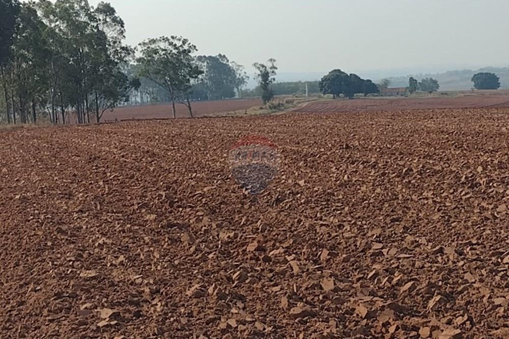 Chácara / Sítio / Fazenda - Venda - Tupã , São Paulo - WhatsApp Image 2024-10-18 at 20.43.09.jpeg - 630541038-17