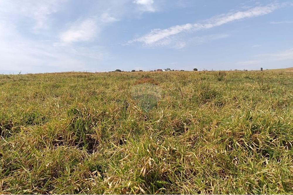 Terreno - Venda - Presidente Prudente , São Paulo - 5.jpeg - 630861066-2
