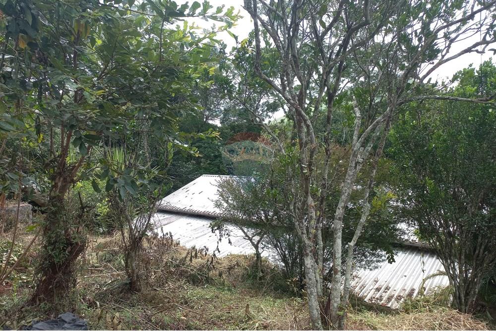 Casa - Venda - Nova Friburgo , Rio de Janeiro - 65.jpg - 630551089-1