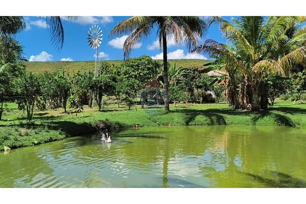 Chácara / Sítio / Fazenda - Venda - Rio Bonito , Rio de Janeiro - WhatsApp Image 2025-09-22 at 14.45.51 (1).jpeg - 631351026-2