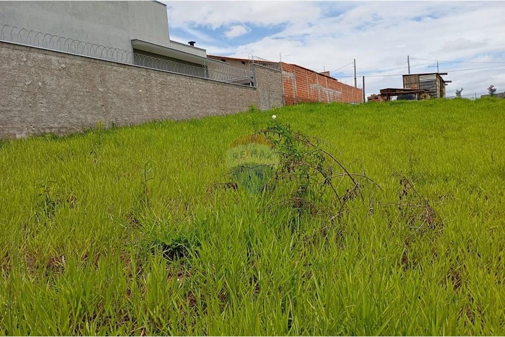 Terreno - Venda - Salto de Pirapora , São Paulo - WhatsApp Image 2024-12-05 at 09.55.00.jpeg - 631181028-52