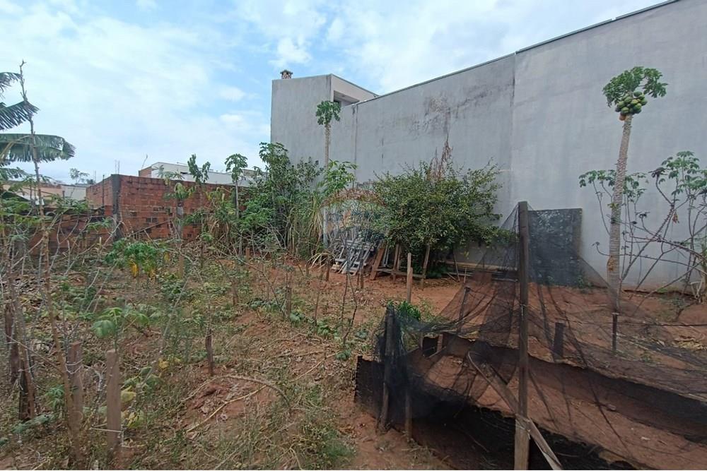 Terreno - Venda - Presidente Prudente , São Paulo - WhatsApp Image 2025-10-10 at 13.15.38.jpeg - 630861066-6