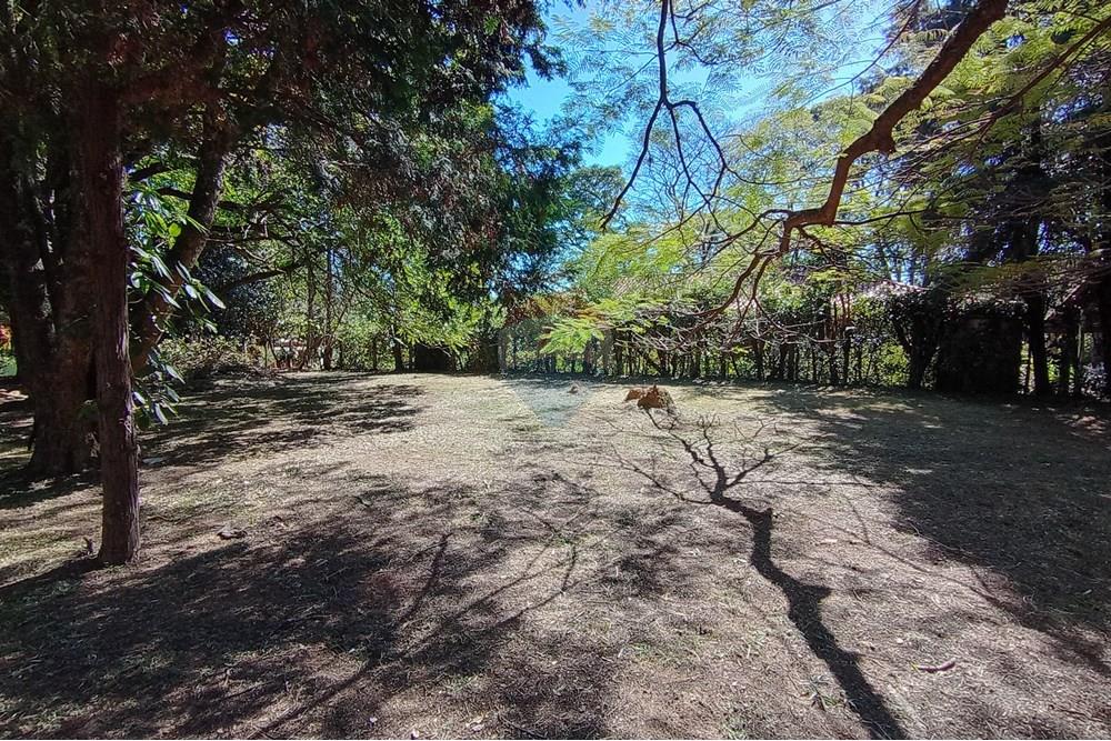 Terreno - Venda - Cabreúva , São Paulo - IMG_20250801_122049470_HDR.jpg - 630531012-55