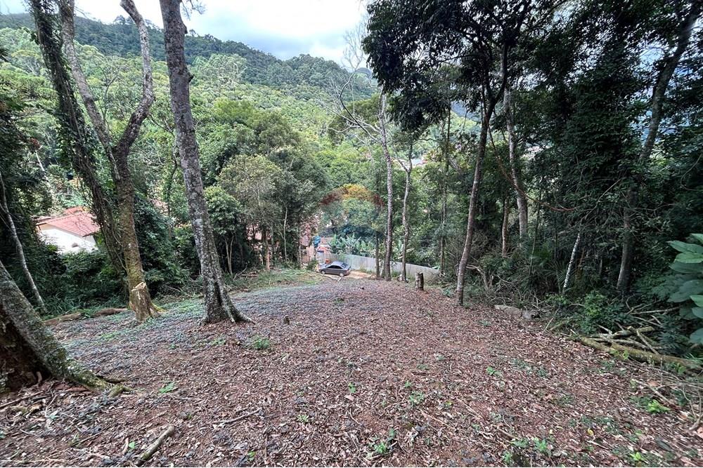 Terreno - Venda - Nova Friburgo , Rio de Janeiro - IMG_0243.JPG - 630551085-21