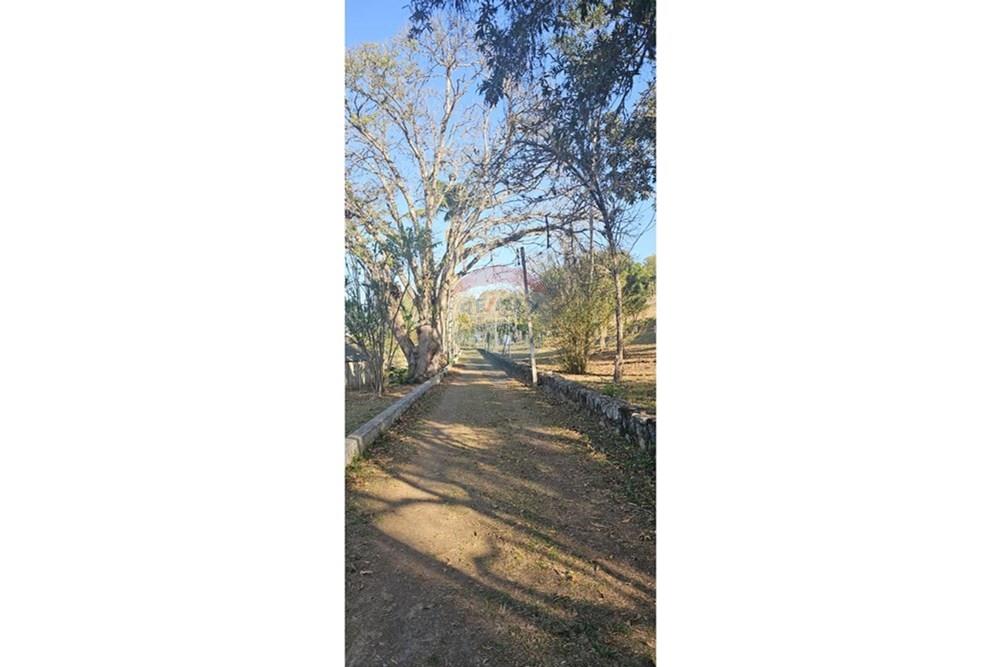 Chácara / Sítio / Fazenda - Venda - Santa Isabel , São Paulo - IMG-20250901-WA0299.jpg - 631491029-10