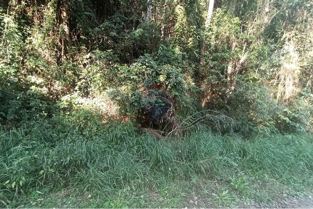 Terreno - Venda - Mairiporã , São Paulo - WhatsApp Image 2025-08-22 at 23.52.01.jpeg - 631361025-40