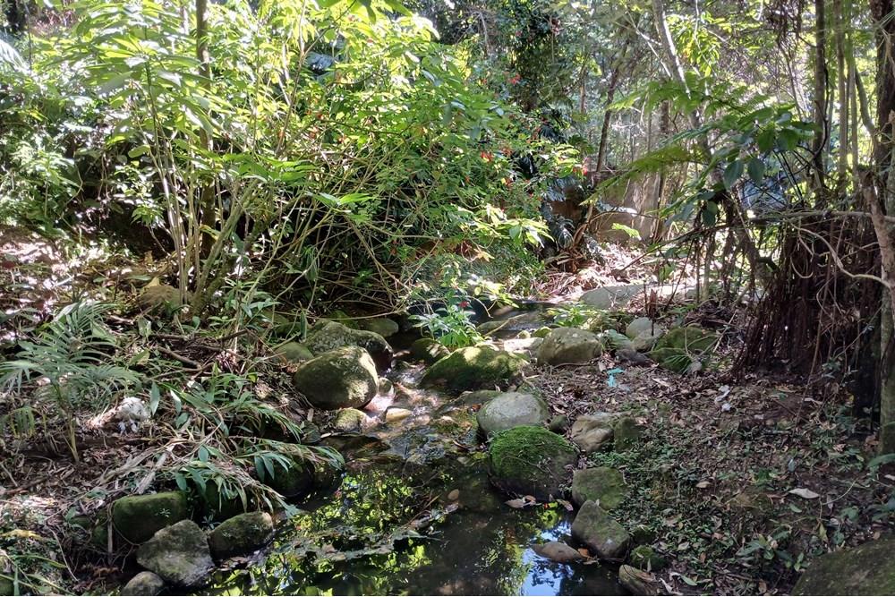 Casa de Condomínio - Venda - Nova Friburgo , Rio de Janeiro - 20250630_104602.jpg - 630551084-15