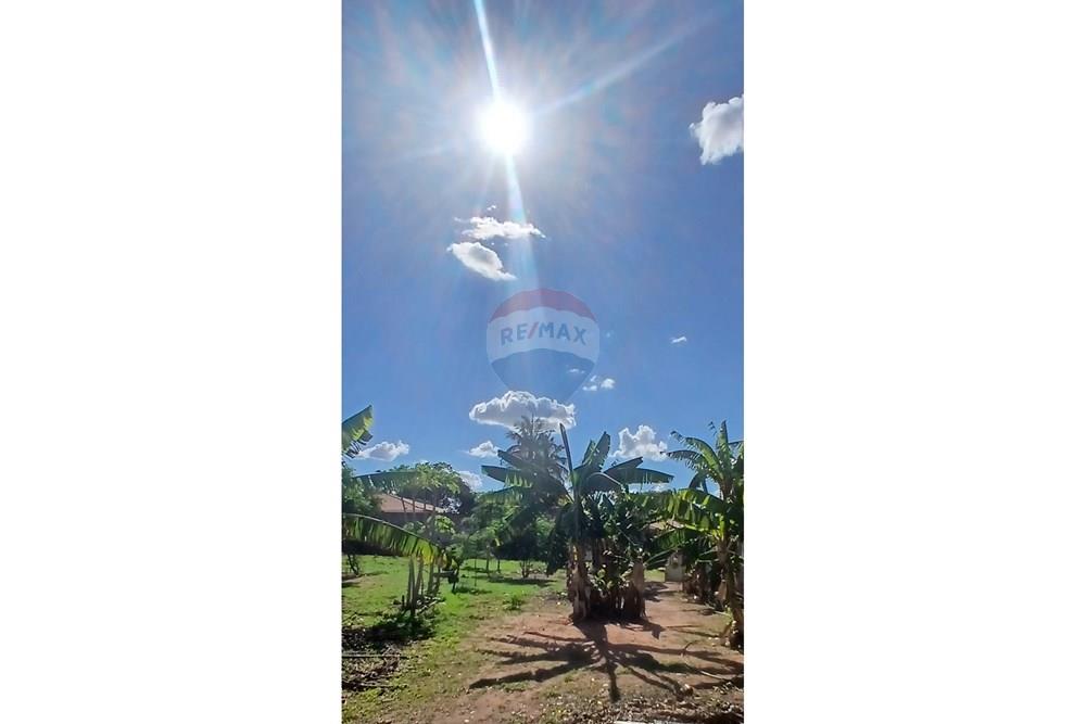 Terreno - Venda - Penápolis , São Paulo - 20241126_155155~6.jpg - 631191013-95