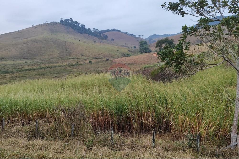Chácara / Sítio / Fazenda - Venda - Duas Barras , Rio de Janeiro - 57.jpg - 630171001-39