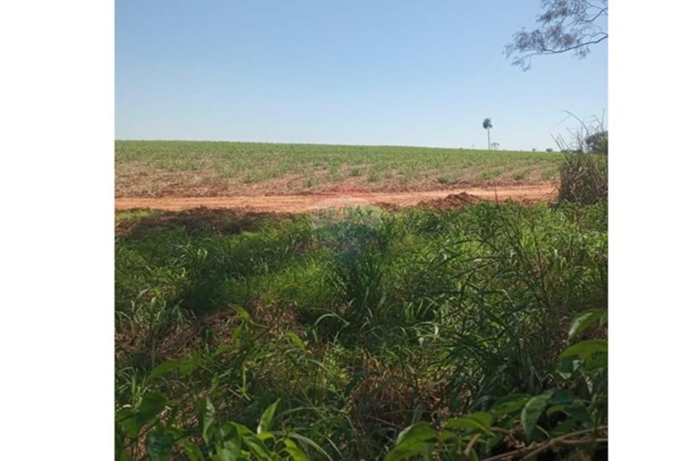 Chácara / Sítio / Fazenda - Venda - Valentim Gentil , São Paulo - WhatsApp Image 2024-11-17 at 09.37.09 (3).jpeg - 630541038-19