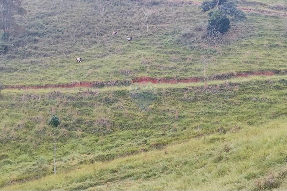 Chácara / Sítio / Fazenda - Venda - Duas Barras , Rio de Janeiro - 81.jpg - 630171001-39