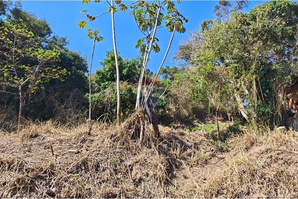 Terreno - Venda - São Sebastião , São Paulo - 1.jpg - 631461059-18