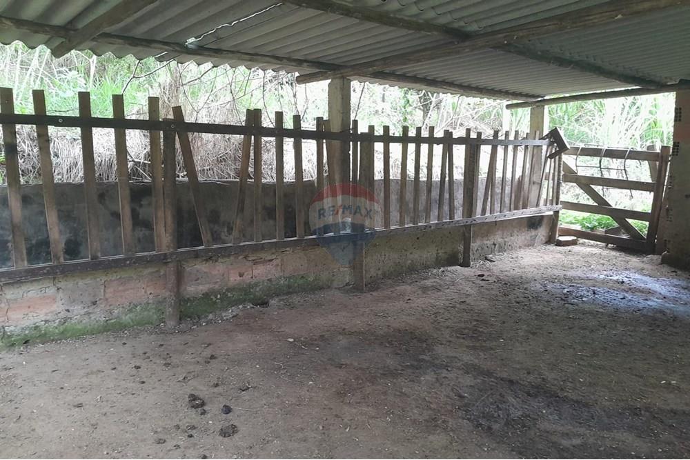 Agro - Venda - Santa Maria Madalena , Rio de Janeiro - WhatsApp Image 2025-05-29 at 13.32.56.jpeg - 630171007-50