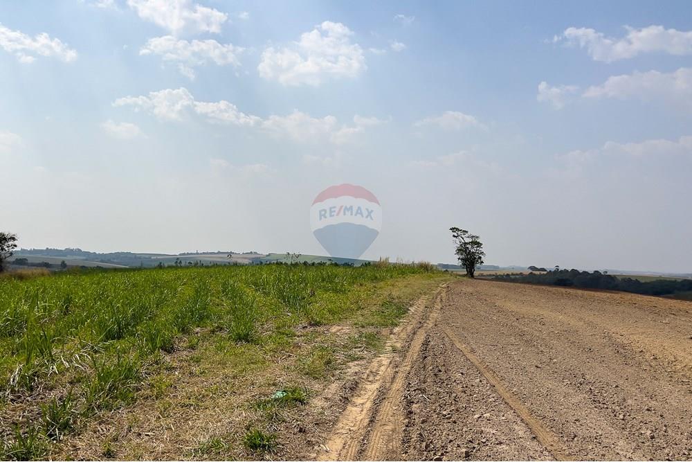 Terreno - Venda - Boituva , São Paulo - IMG_3606_DNG.jpg - 630601137-102