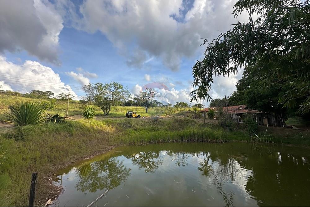 Chácara / Sítio / Fazenda - Venda - Bauru , São Paulo - 34.jpg - 631401012-35