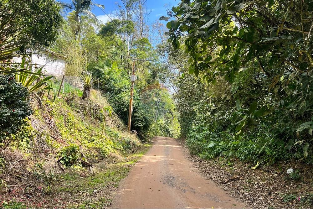 Terreno - Venda - Ribeirão Pires , São Paulo - IMG_2801.jpg - 631371018-44