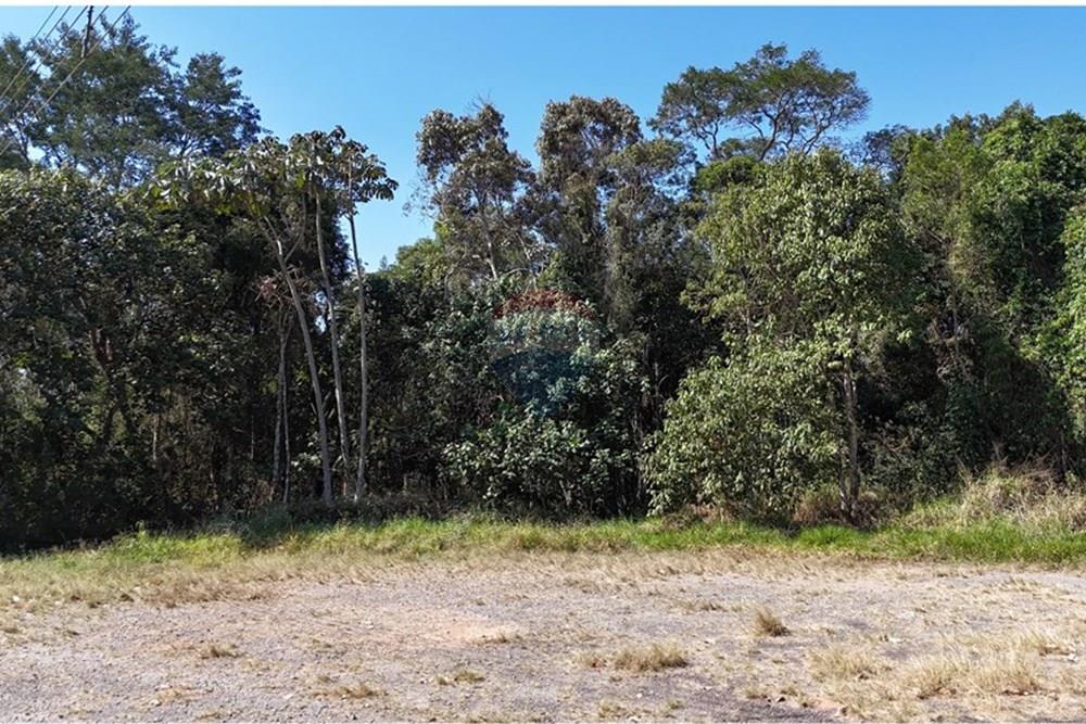 Terreno - Venda - Mogi das Cruzes , São Paulo - DJI_20250911142402_0678_D.JPG - 631251050-24