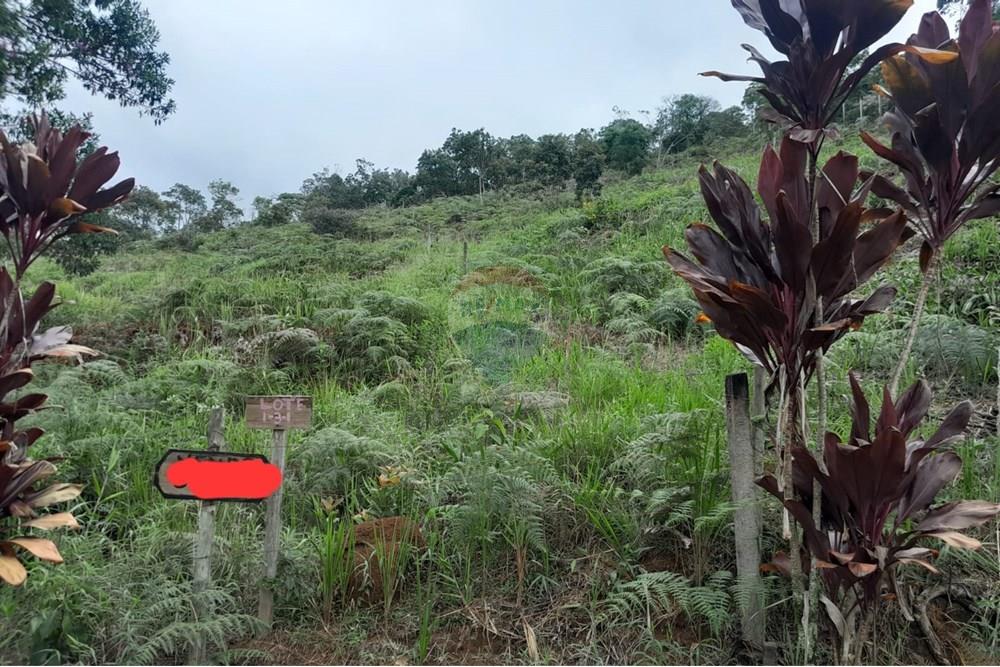 Terreno - Venda - Teresópolis , Rio de Janeiro - f7dc0c03-dc85-44ee-a1ea-96aeec47375a.jpg - 630191084-11