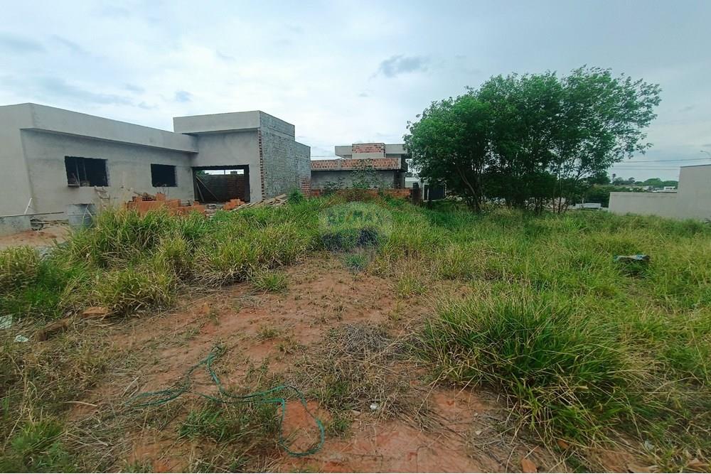 Terreno - Venda - Presidente Prudente , São Paulo - IMG_20251028_120206.jpg - 630861066-13