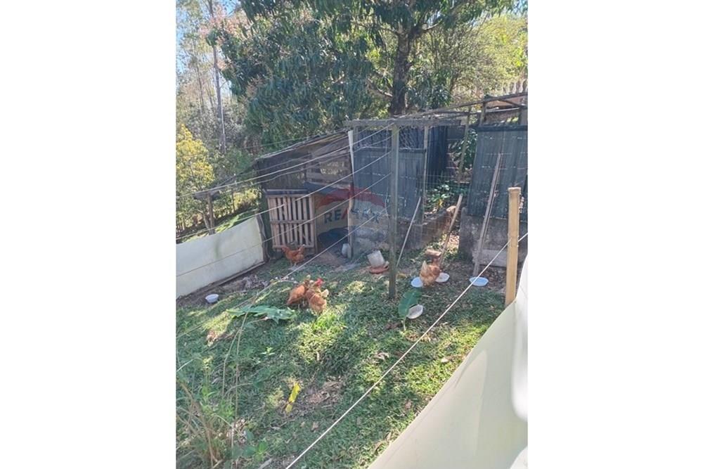 Chácara / Sítio / Fazenda - Alugar - São Roque , São Paulo - Imagem do WhatsApp de 2025-10-08 à(s) 15.19.15_3bb95ff9.jpg - 631601023-1