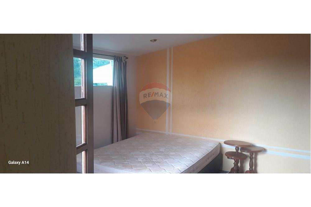 Casa - Alugar - São Paulo , São Paulo - ZN16.jpg - 630251075-167