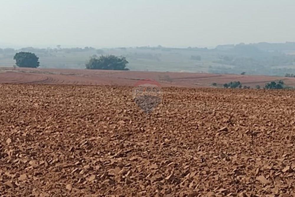 Chácara / Sítio / Fazenda - Venda - Tupã , São Paulo - WhatsApp Image 2024-10-18 at 20.43.06.jpeg - 630541038-17