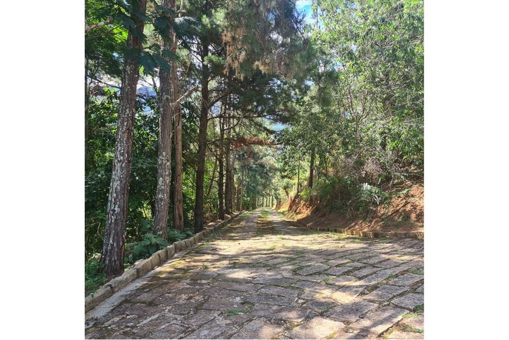 Terreno - Venda - Petrópolis , Rio de Janeiro - 20250101_093447.jpg - 630131068-35