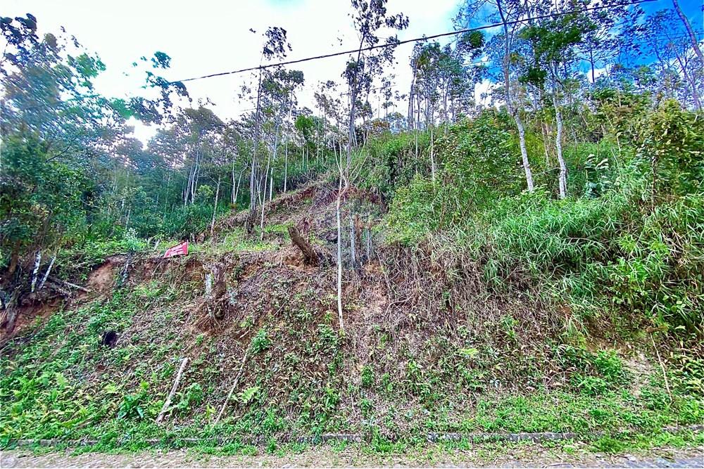Terreno - Venda - Nova Friburgo , Rio de Janeiro - IMG_3632.JPG - 630551061-84
