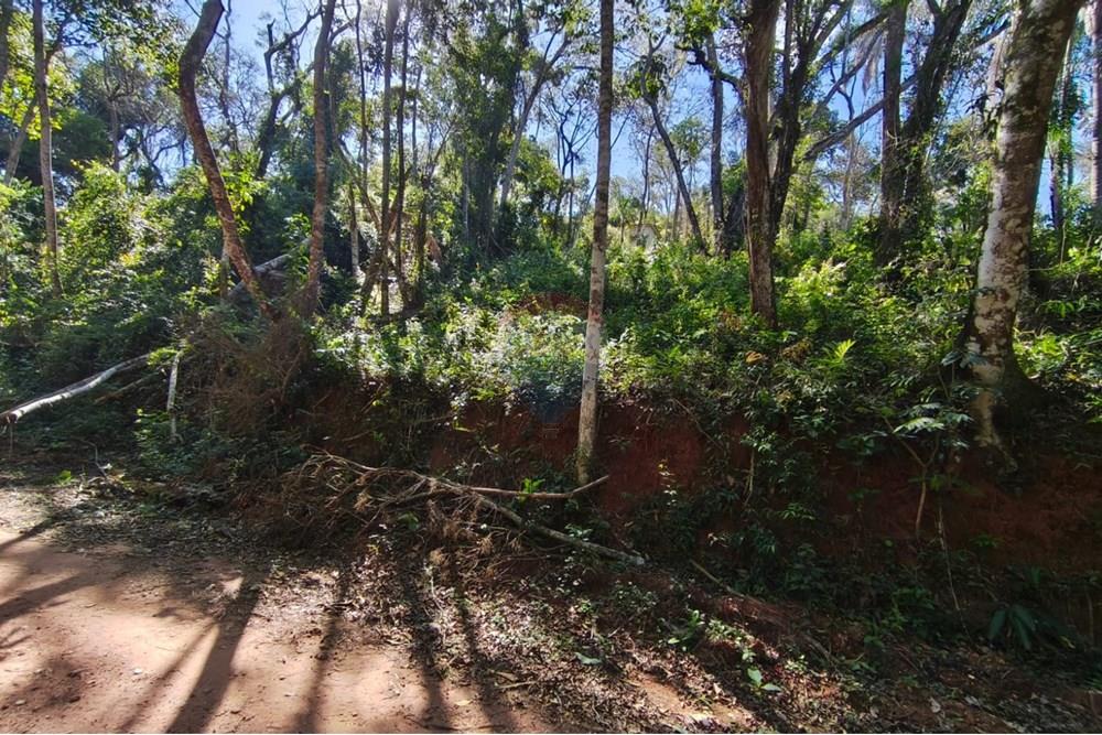 Terreno - Venda - Mairiporã , São Paulo - Terreno rafael 3.jpg - 631361069-8