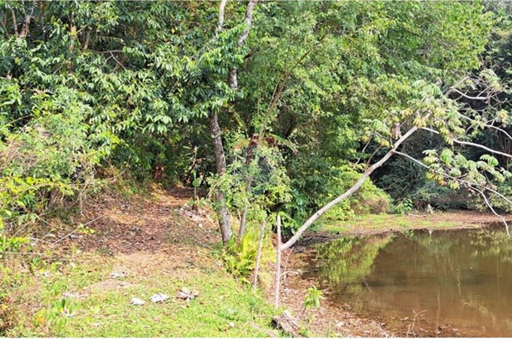 Chácara / Sítio / Fazenda - Venda - Araçariguama , São Paulo - IMG-20240913-WA0061.jpg - 631601010-7