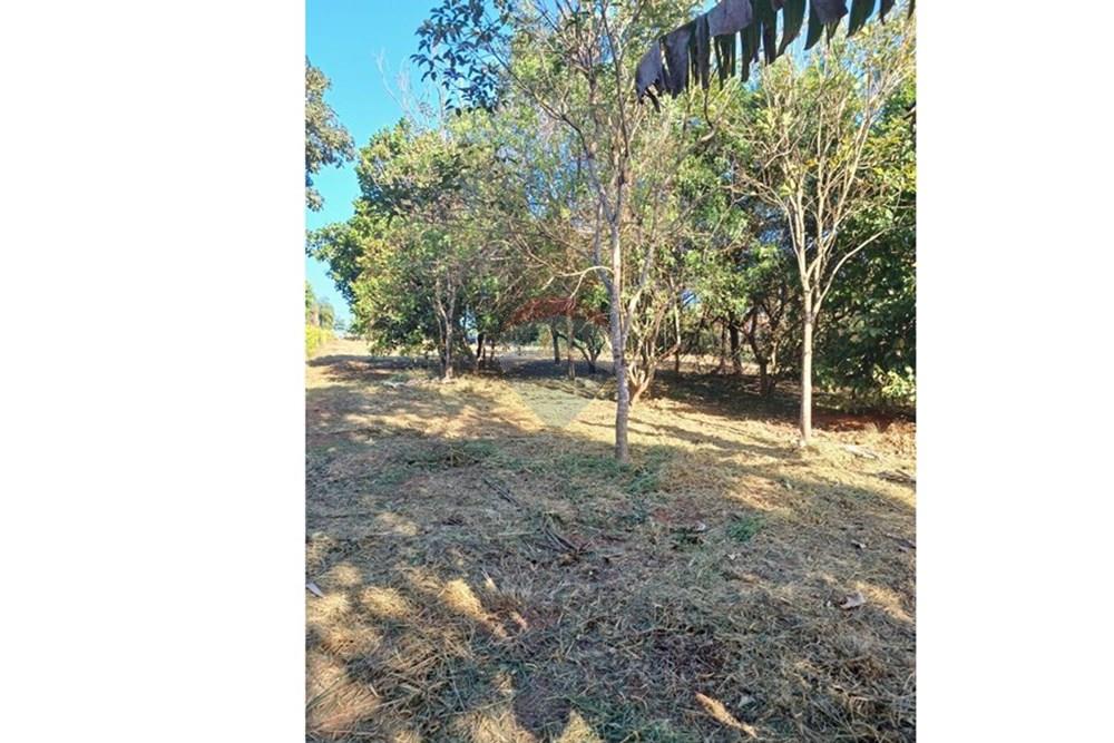 Terreno - Venda - Lins , São Paulo - WhatsApp Image 2025-01-02 at 22.53.00.jpeg - 631011037-12