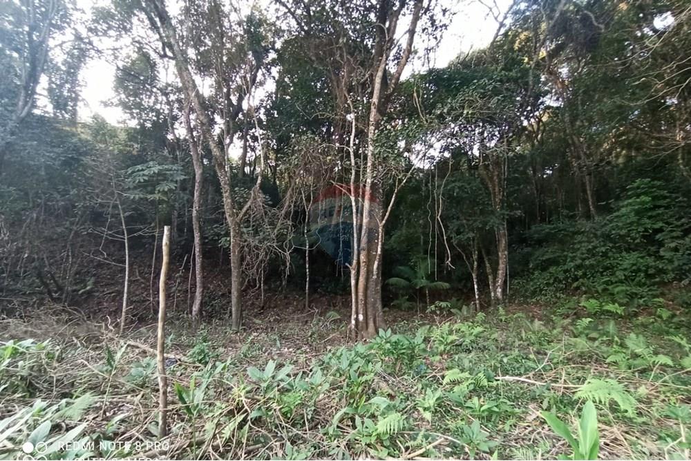 Terreno - Venda - Mairiporã , São Paulo - WhatsApp Image 2025-07-14 at 23.09.30 (1).jpeg - 631361025-36