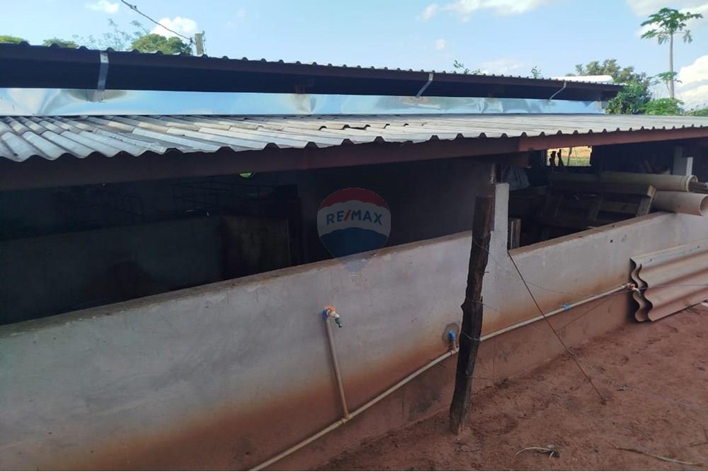 Chácara / Sítio / Fazenda - Venda - Tupã , São Paulo - IMG-20241205-WA0076.jpg - 630151002-125