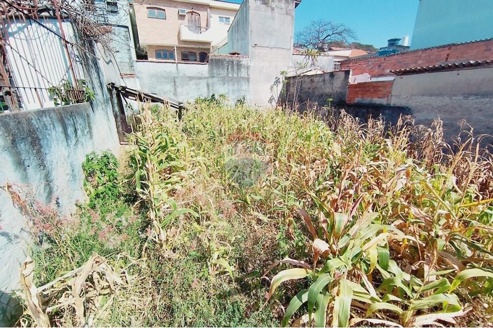 Terreno - Venda - Guarulhos , São Paulo - WhatsApp Image 2025-11-04 at 17.34.54.jpeg - 630251105-96