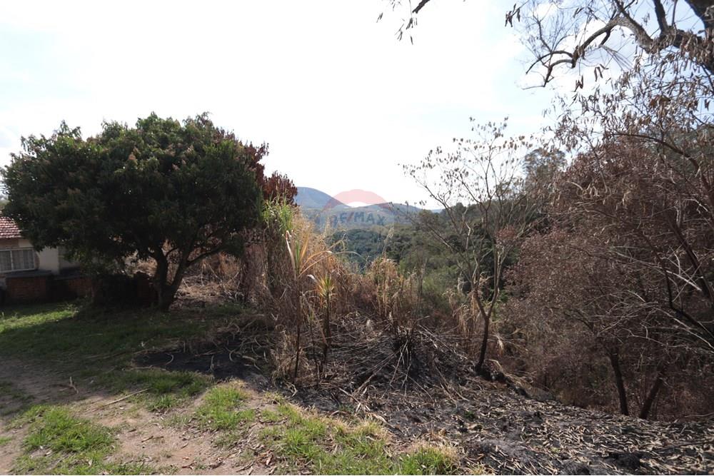 Terreno - Venda - São Roque , São Paulo - IMG_4729.JPG - 631601017-17