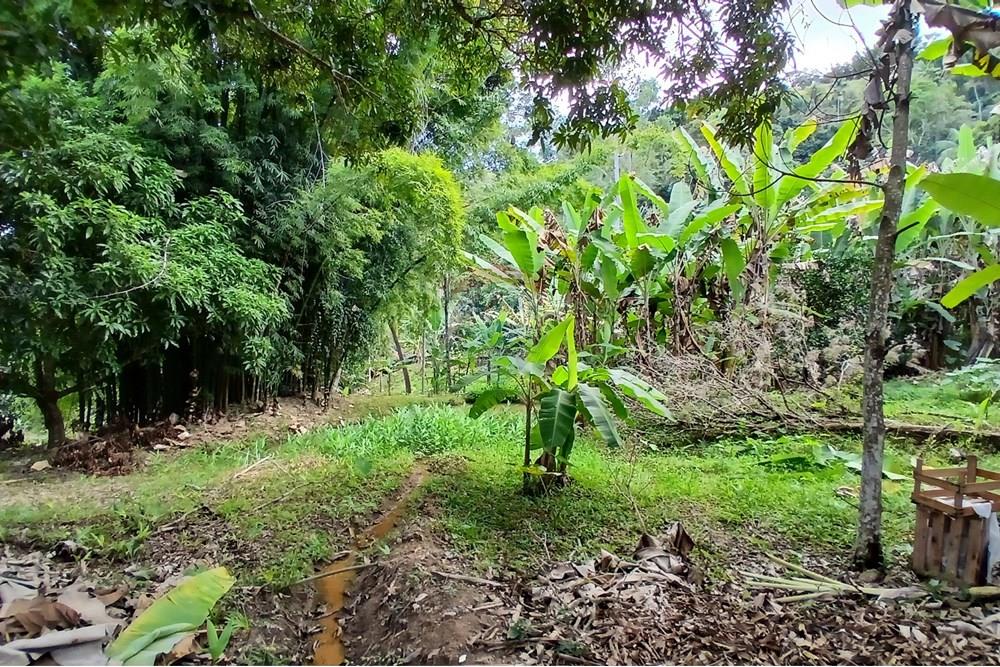 Chácara / Sítio / Fazenda - Venda - Sumidouro , Rio de Janeiro - 20250614_113238.jpg - 630551084-18