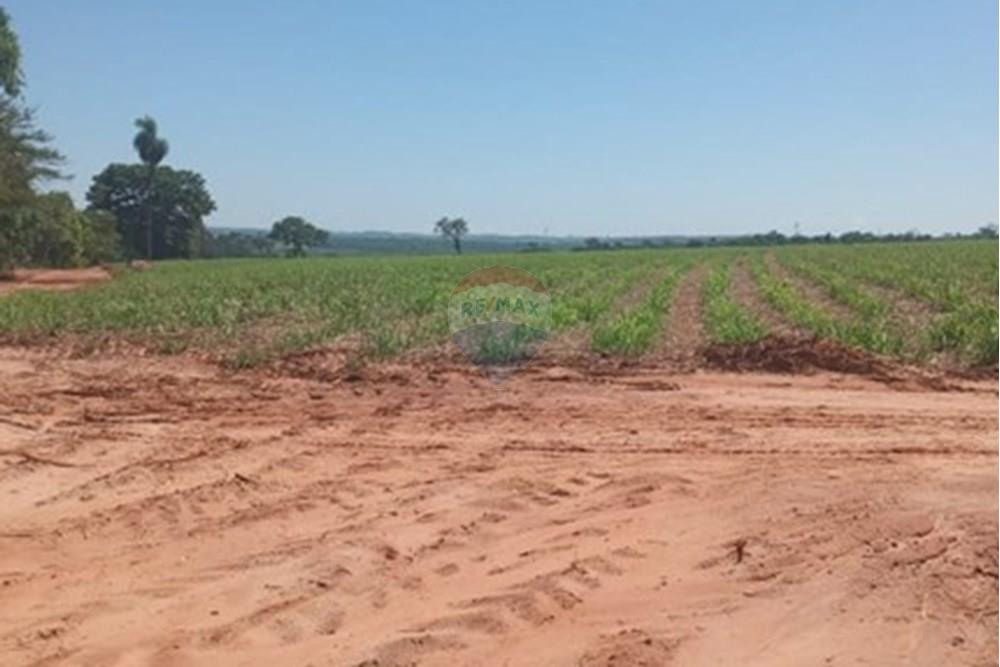 Chácara / Sítio / Fazenda - Venda - Valentim Gentil , São Paulo - WhatsApp Image 2024-11-17 at 09.37.12.jpeg - 630541038-19