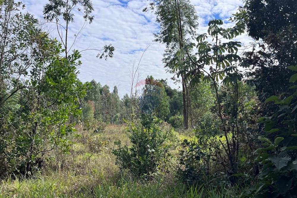 Terreno - Venda - Cabreúva , São Paulo - foto 24.jpg - 630531013-11