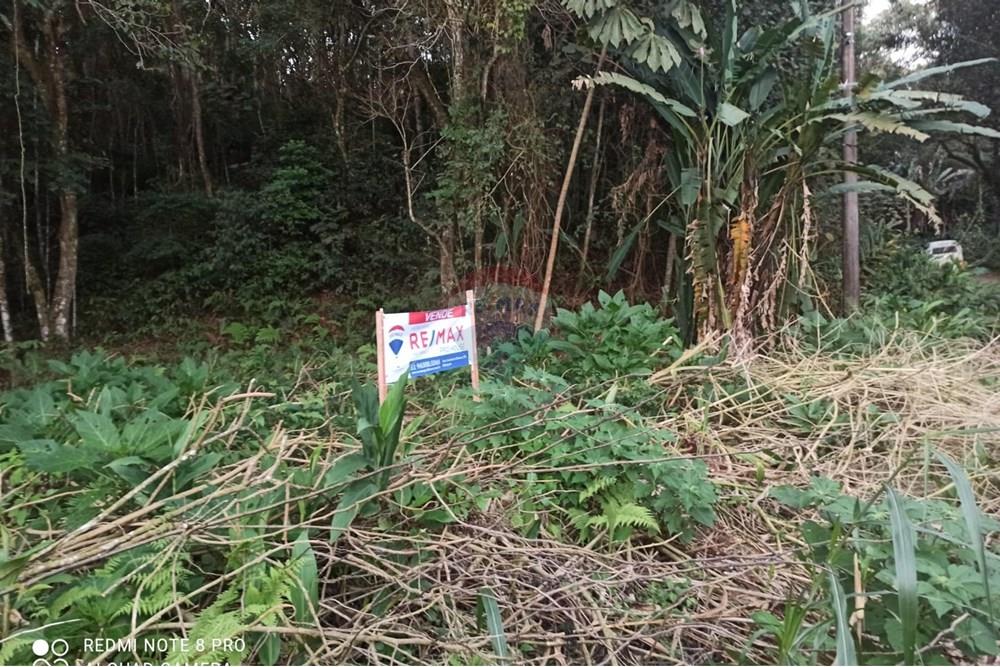 Terreno - Venda - Mairiporã , São Paulo - WhatsApp Image 2025-08-02 at 00.48.44.jpeg - 631361025-36