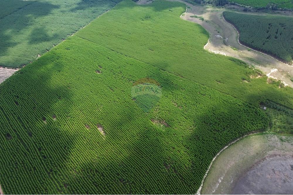 Chácara / Sítio / Fazenda - Venda - Bofete , São Paulo - 5-DJI_0267.jpg - 630481027-104