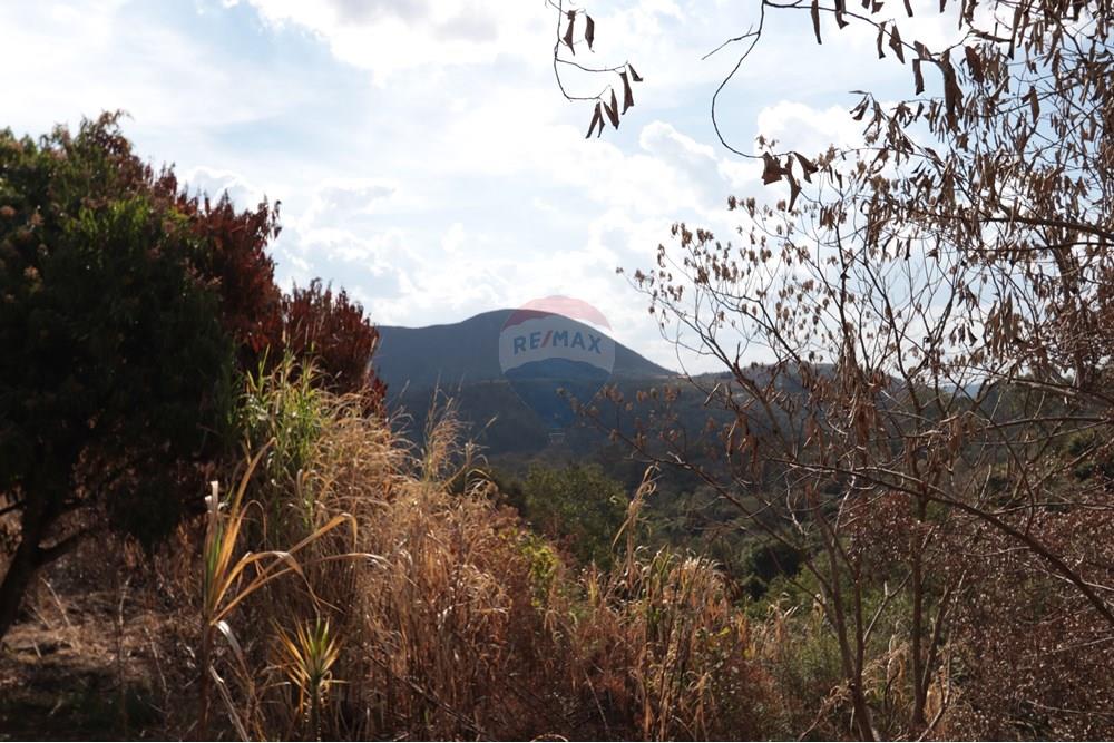 Terreno - Venda - São Roque , São Paulo - IMG_4771.JPG - 631601017-17