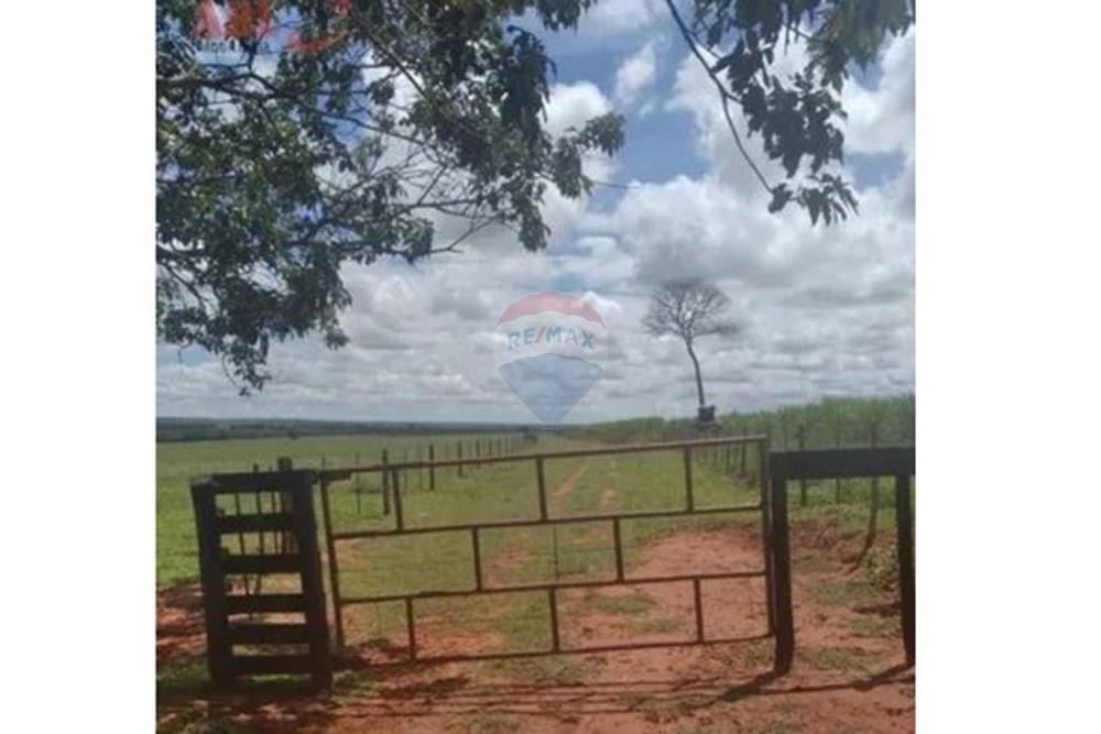 Chácara / Sítio / Fazenda - Venda - Junqueirópolis , São Paulo - WhatsApp Image 2024-10-26 at 10.20.03 (3).jpeg - 630541038-36