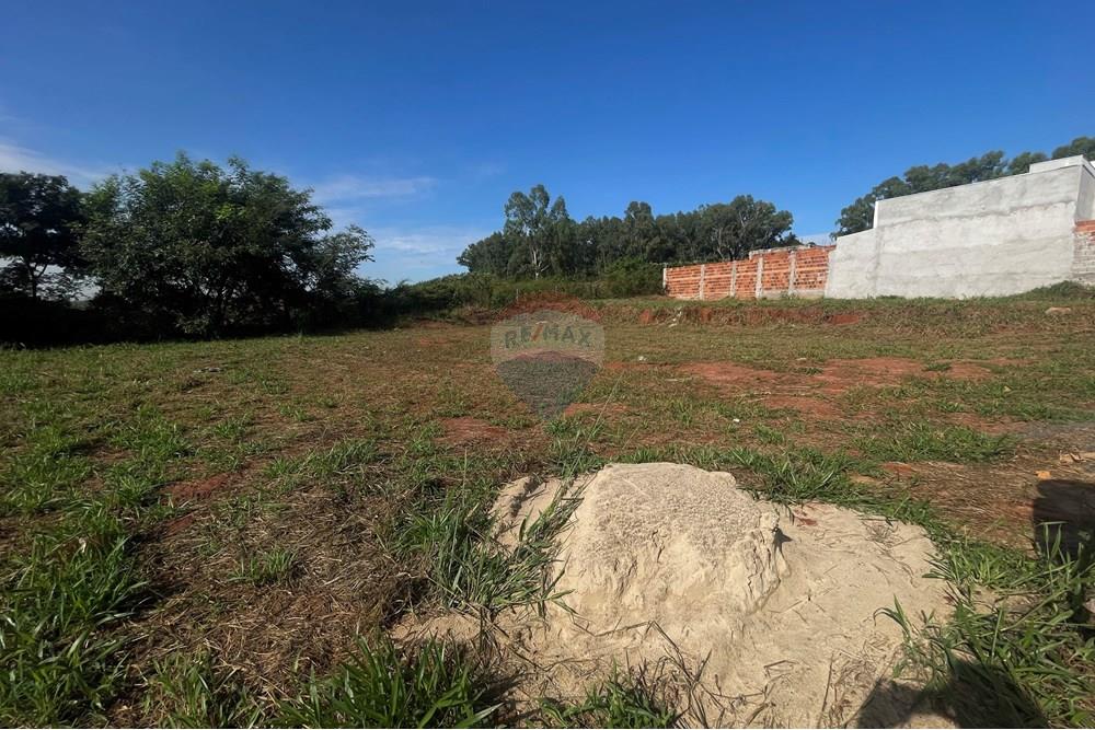 Terreno - Venda - São José do Rio Preto , São Paulo - IMG_7254.JPG - 630401028-49