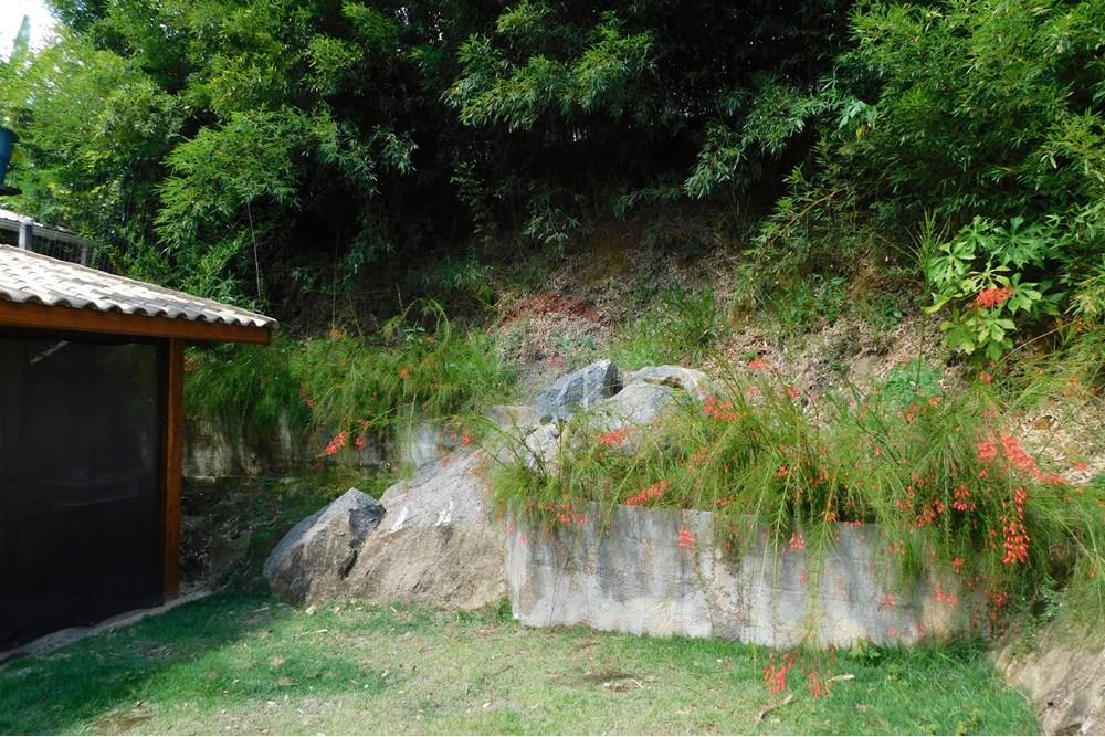 Casa - Venda - São Roque , São Paulo - DSCN6153.JPG - 631601004-38