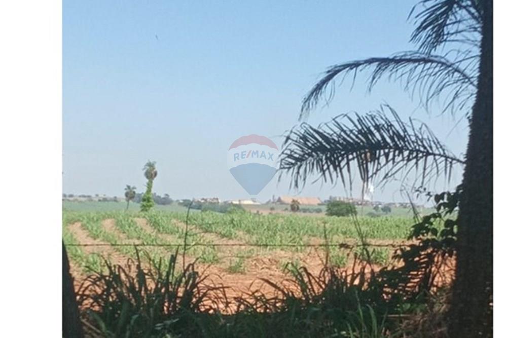 Chácara / Sítio / Fazenda - Venda - Valentim Gentil , São Paulo - WhatsApp Image 2024-11-17 at 09.37.10 (3).jpeg - 630541038-19